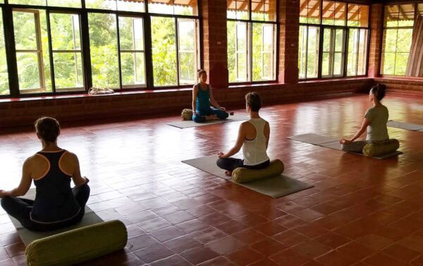 Women's yoga retreat to India
